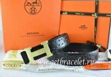 Hermes Reversible Belt Black/Black Ostrich Stripe Leather With 18K Gold H Buckle