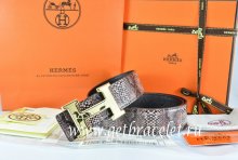 Hermes Reversible Belt Brown/Black Snake Stripe Leather With 18K Gold Prints Coach Stripe H Buckle