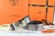 Hermes Reversible Belt Brown/Black Snake Stripe Leather With 18K Gold Coach Buckle