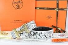 Hermes Reversible Belt White/Black Snake Stripe Leather With 18K Gold Brushed Prints H Buckle