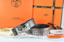 Hermes Reversible Belt Brown/Black Snake Stripe Leather With 18K Silver Coach Buckle