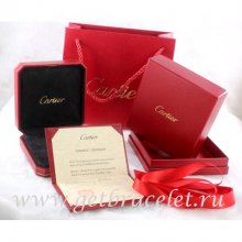 Original Cartier Necklace Packaging Set